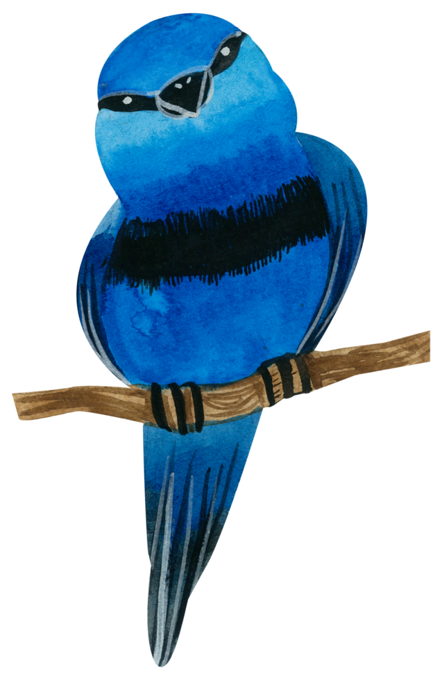 peinture à la main aquarelle petit oiseau png