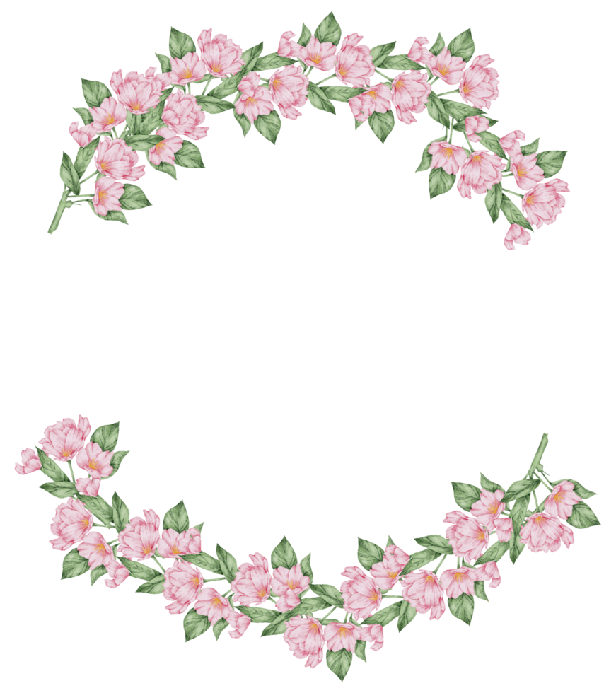 Watercolor Pink Floral Botanical png