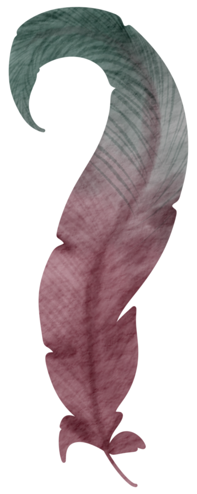 Feather watercolor hand paint png