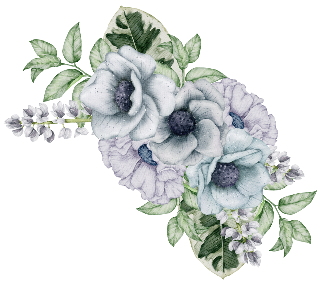 aquarelle floral botanique png