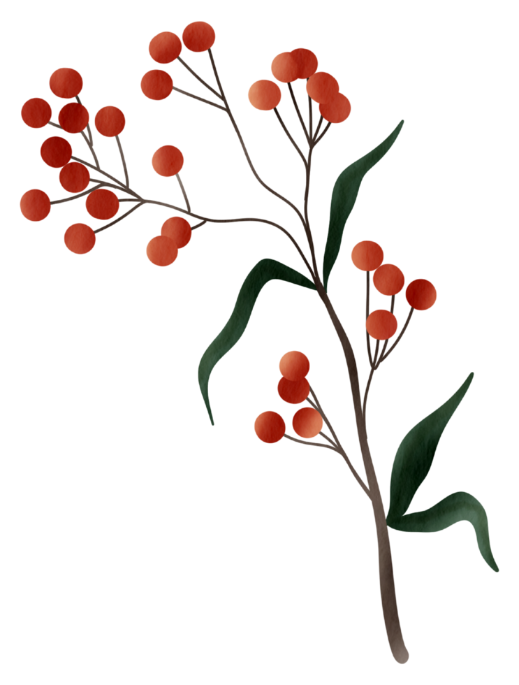 Autumn element watercolor ornament png
