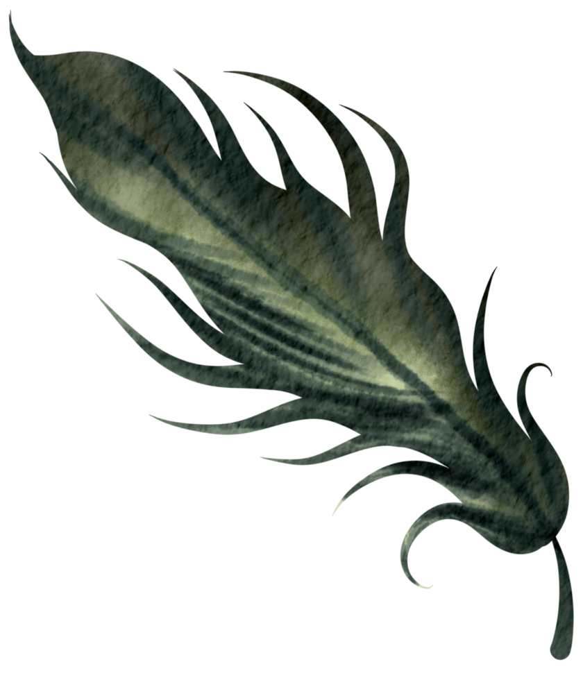 Feather watercolor hand paint png