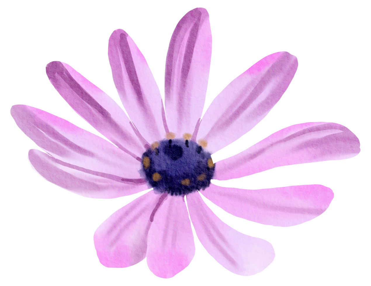 waterverf bloemen botanisch hand- verf png