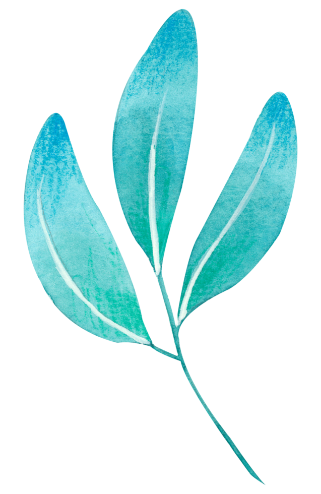 foliage watercolor leaf hand paint png