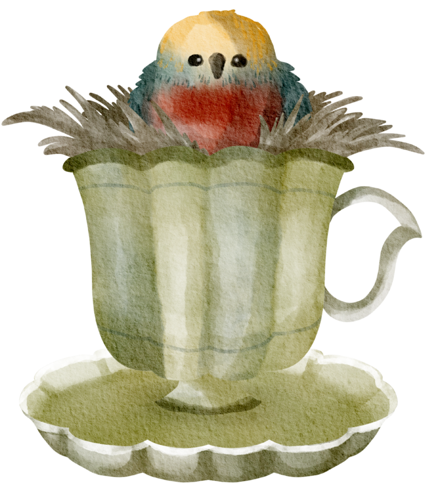 Birdhouse watercolor hand painted png