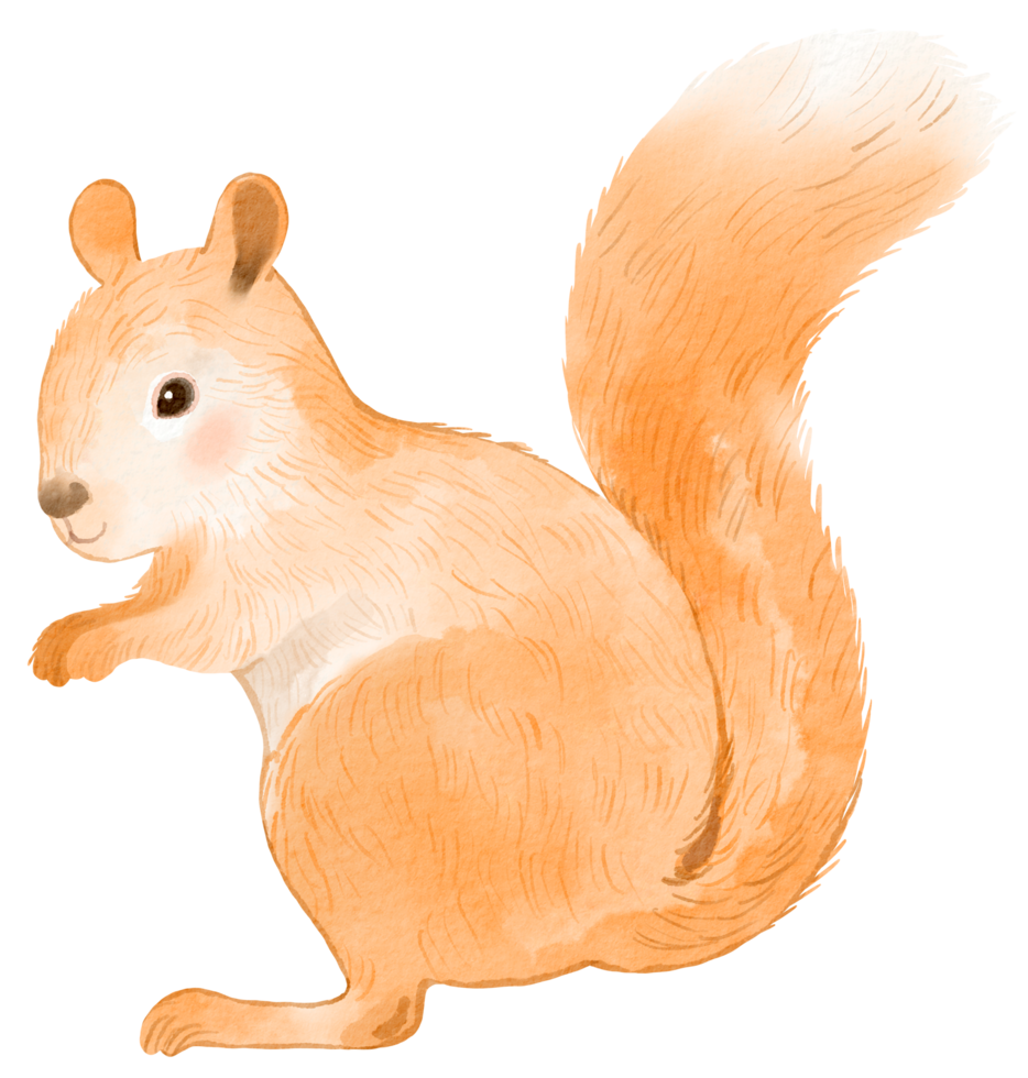 bosco adorabile animale acquerello png