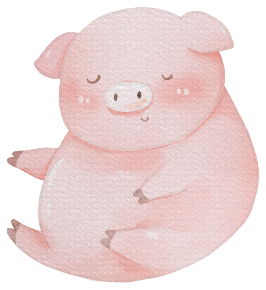 Cute pig animal character watercolor png