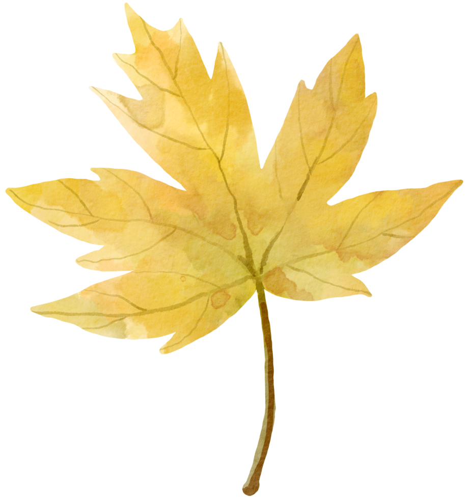 herbst herbst blatt pflanze aquarell png