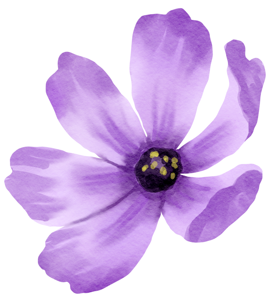 vattenfärg blommig botanisk hand måla png