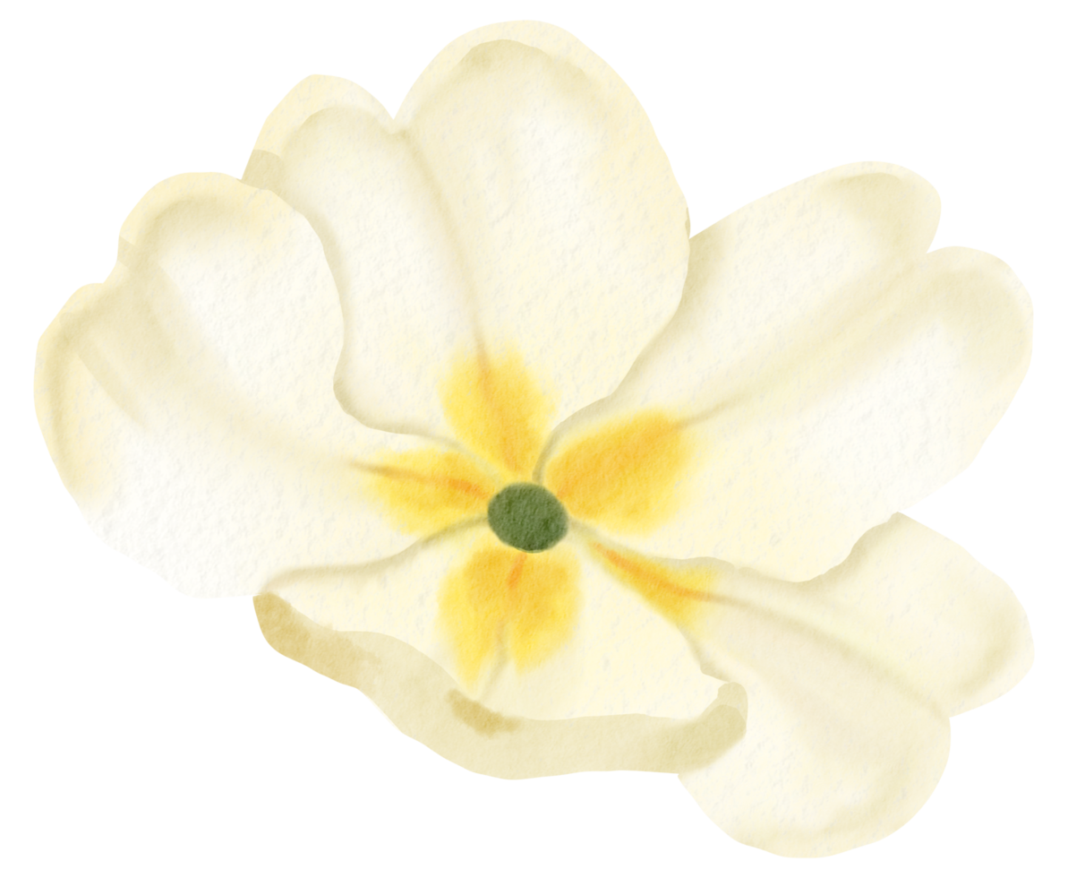 waterverf bloemen botanisch hand- verf png