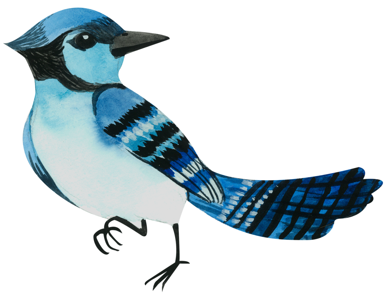 Little Bird watercolor hand paint png