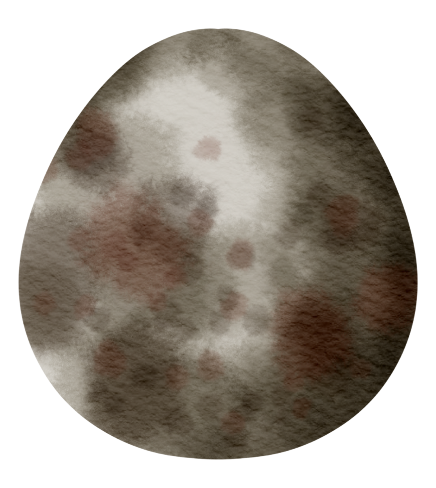 Egg watercolor hand paint png