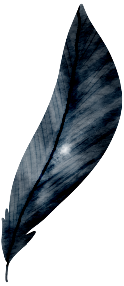 Feather watercolor hand paint png