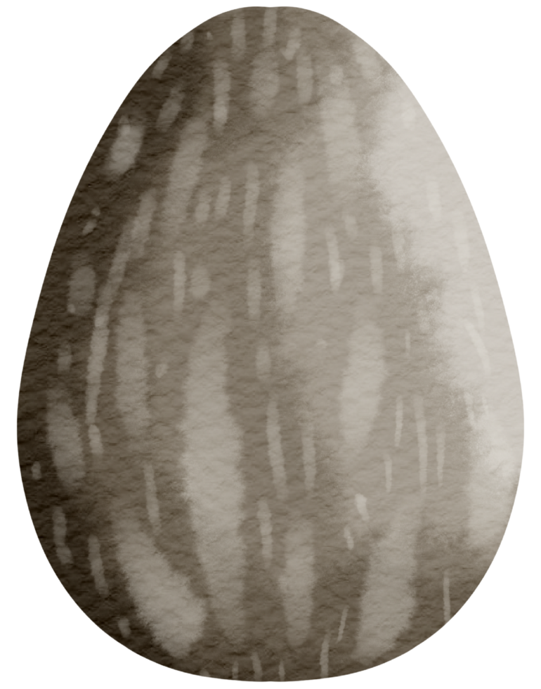 Egg watercolor hand paint png