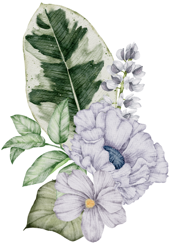 aquarela floral botânico png