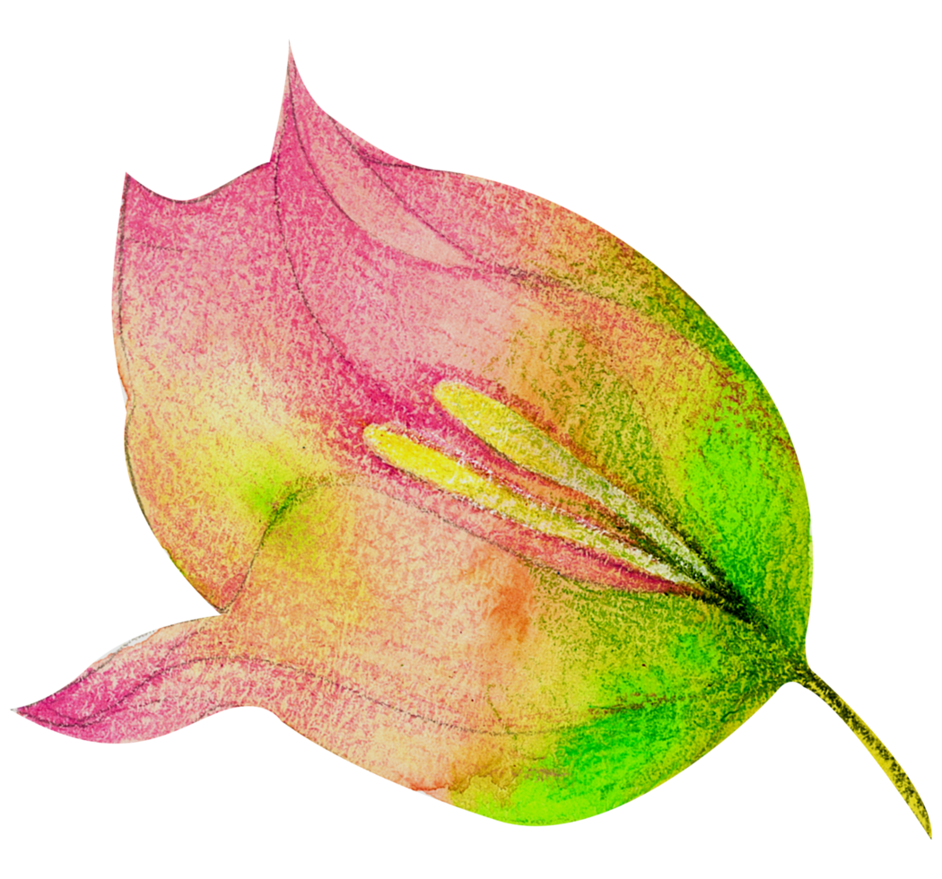 Watercolor Floral Botanical hand paint png