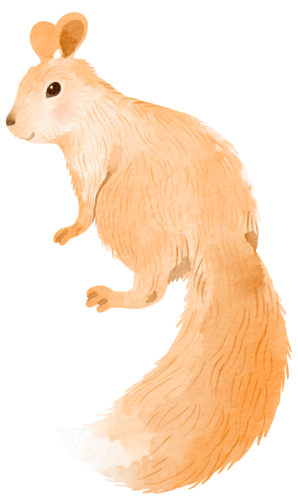 Woodland adorable animal watercolor png