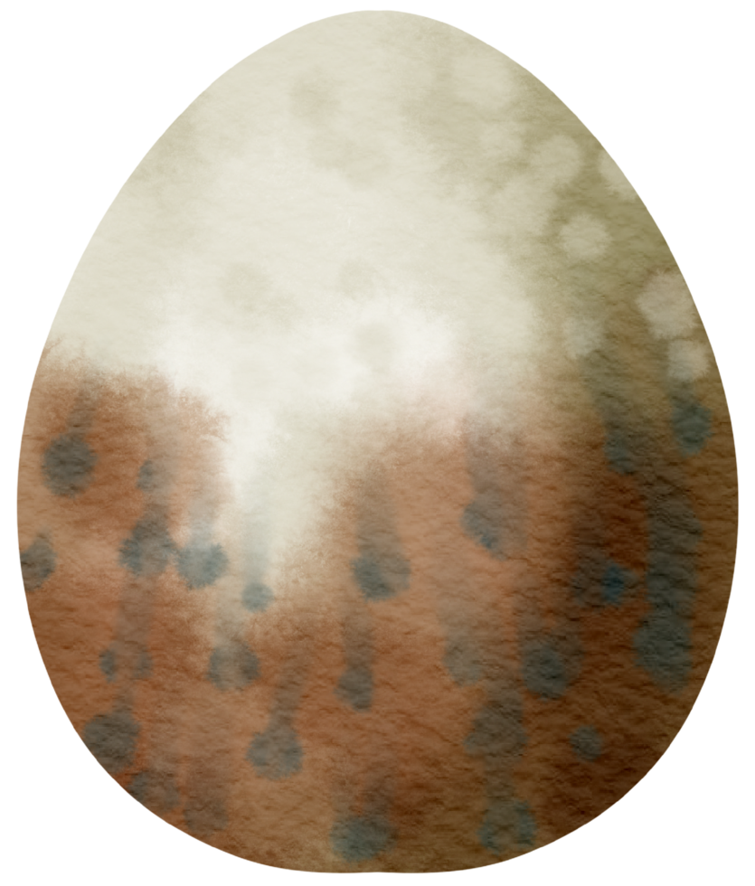 Egg watercolor hand paint png