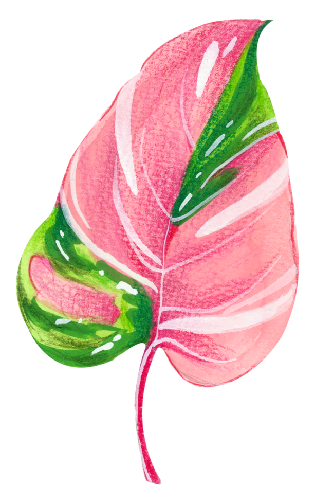 feuillage aquarelle feuille peinture à la main png