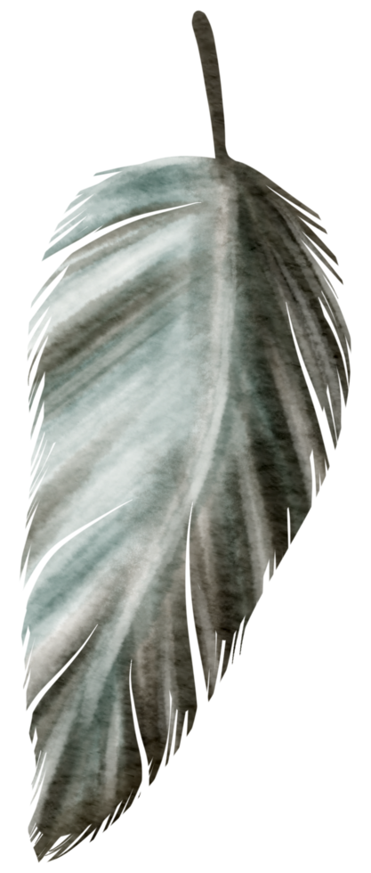 Feather watercolor hand paint png