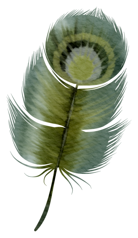 Feather watercolor hand paint png