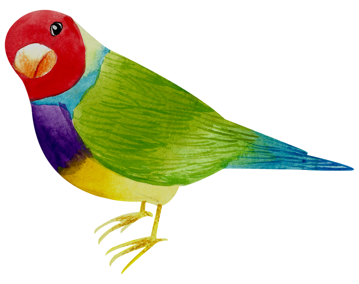 pintura de mano de acuarela de pajarito png