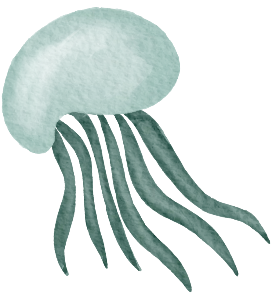 Nautical watercolor marine life hand painted png