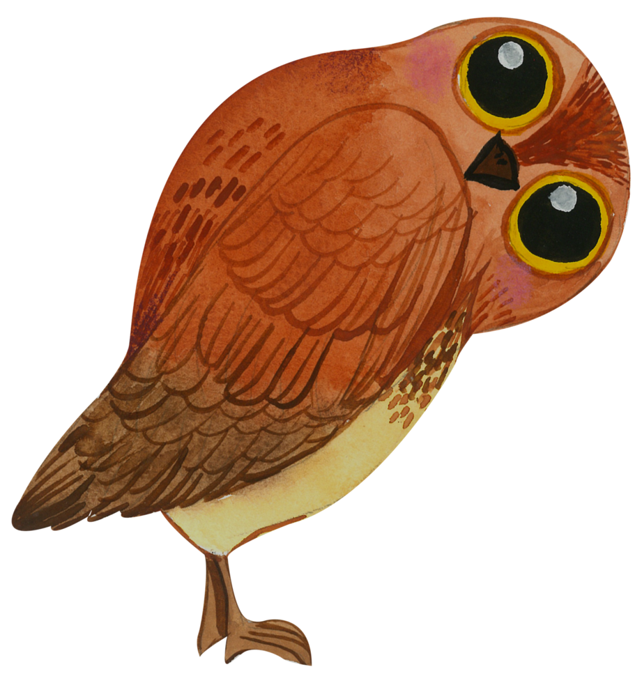 Cute owl animal character watercolor png