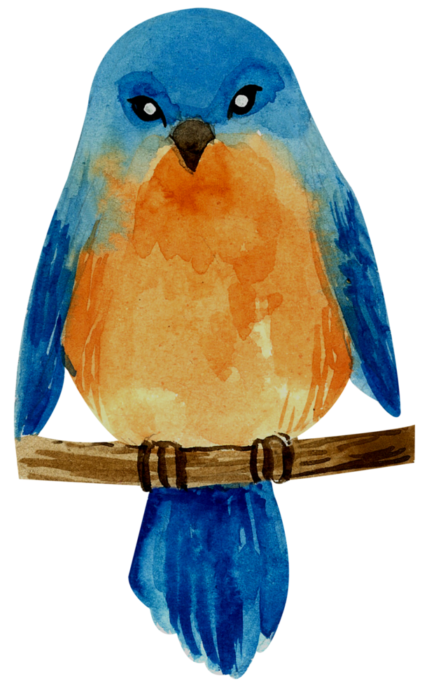 peinture à la main aquarelle petit oiseau png