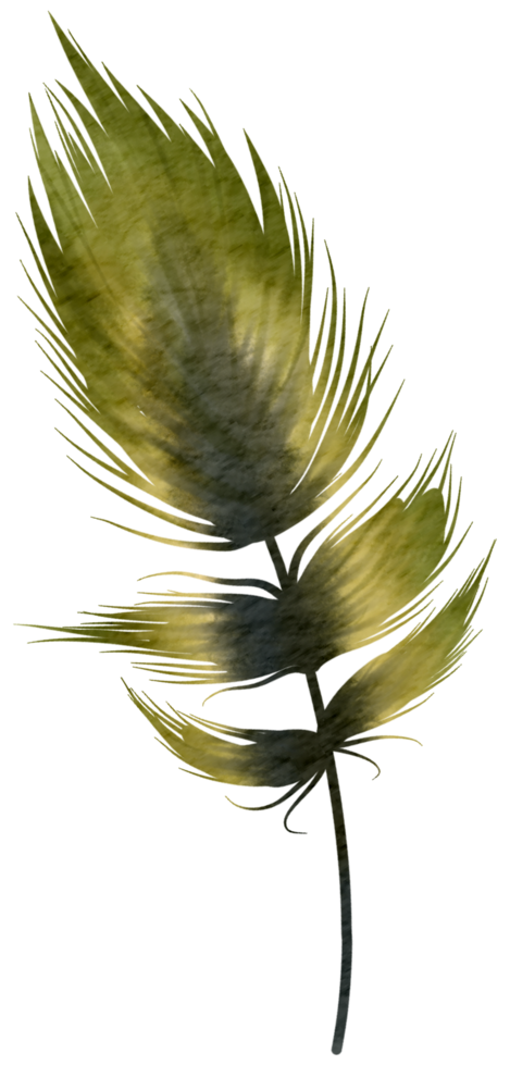 Feather watercolor hand paint png