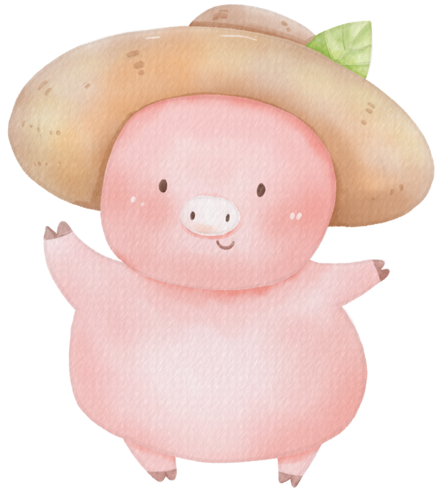 Cute pig animal character watercolor png