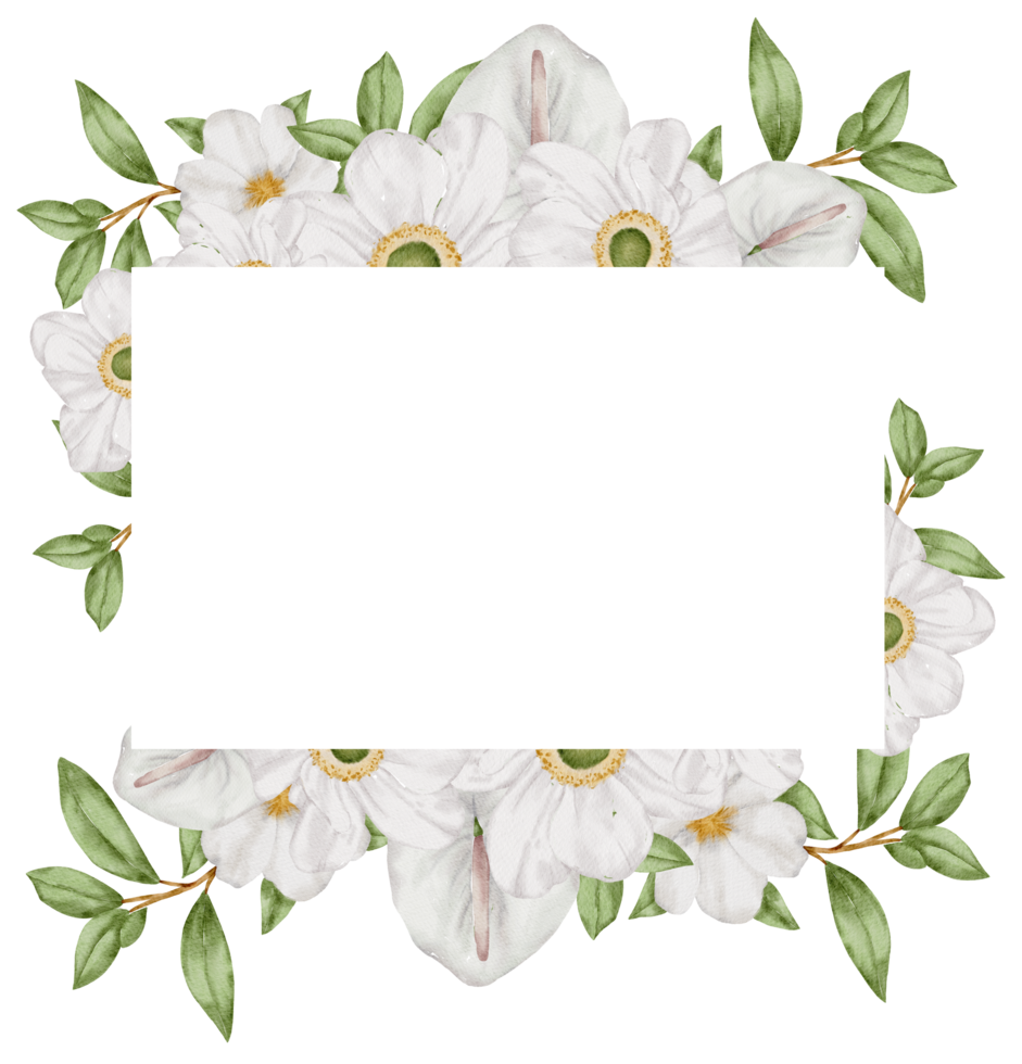 aquarela floral botânico png