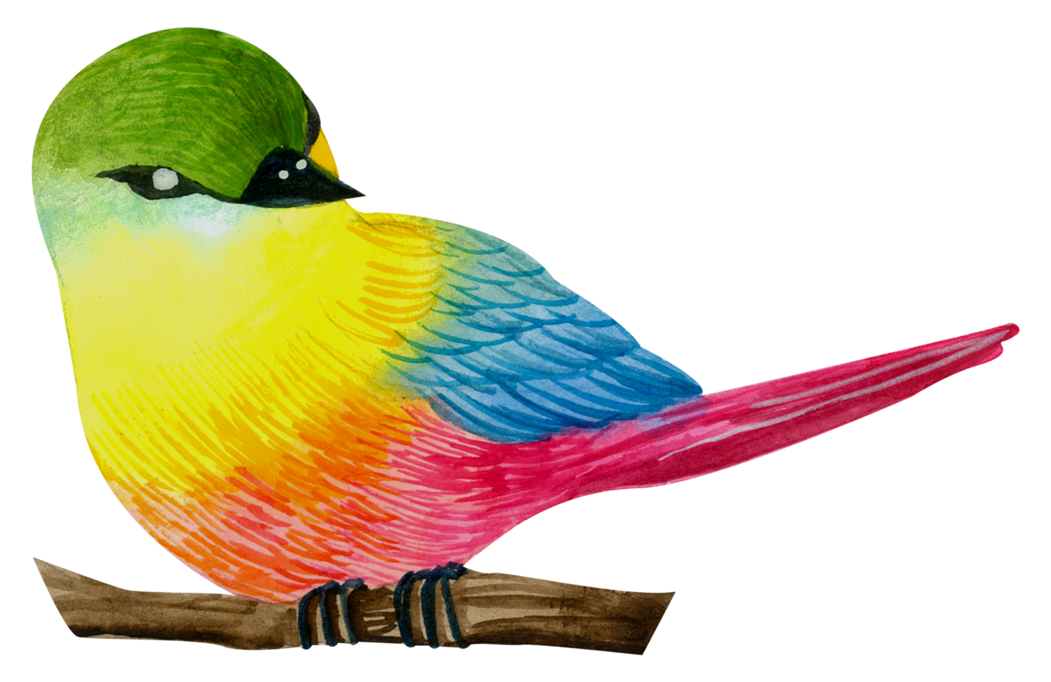 kleiner Vogel Aquarell Handfarbe png