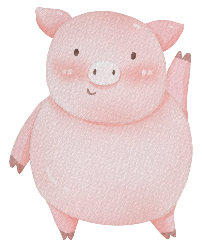 Cute pig animal character watercolor png