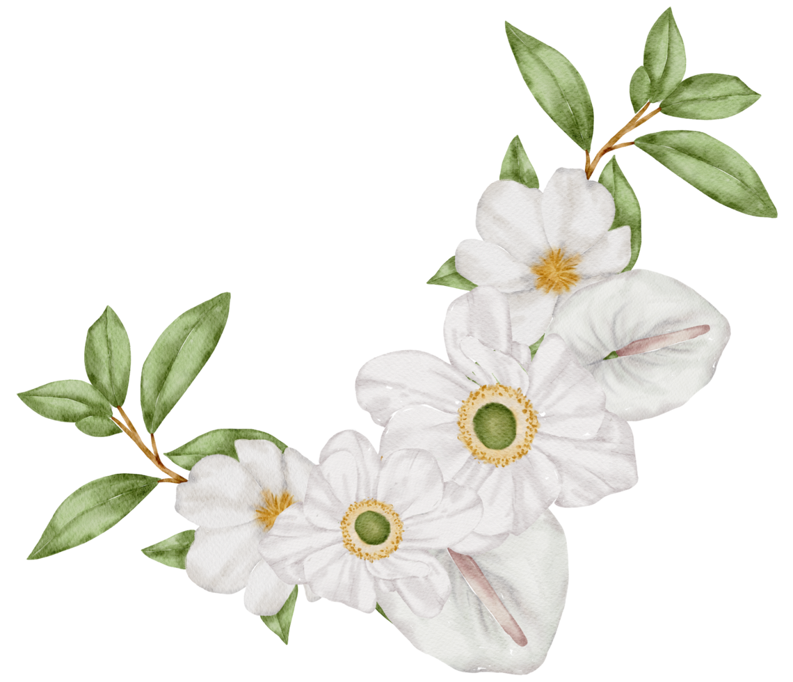 aquarela floral botânico png