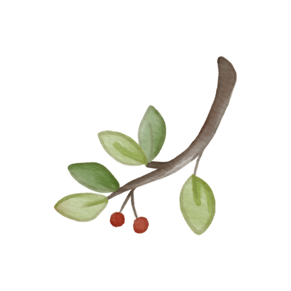 branch watercolor leaf hand paint png