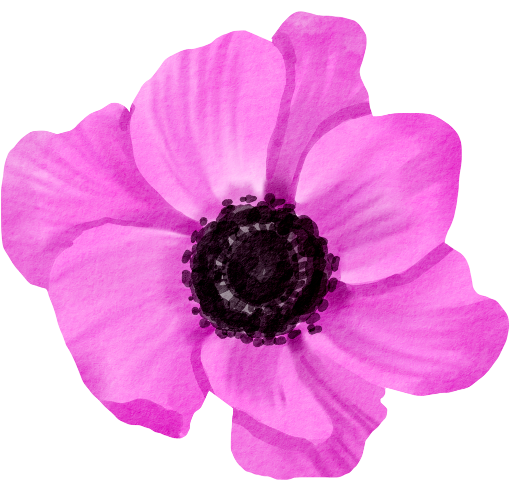 waterverf bloemen botanisch hand- verf png