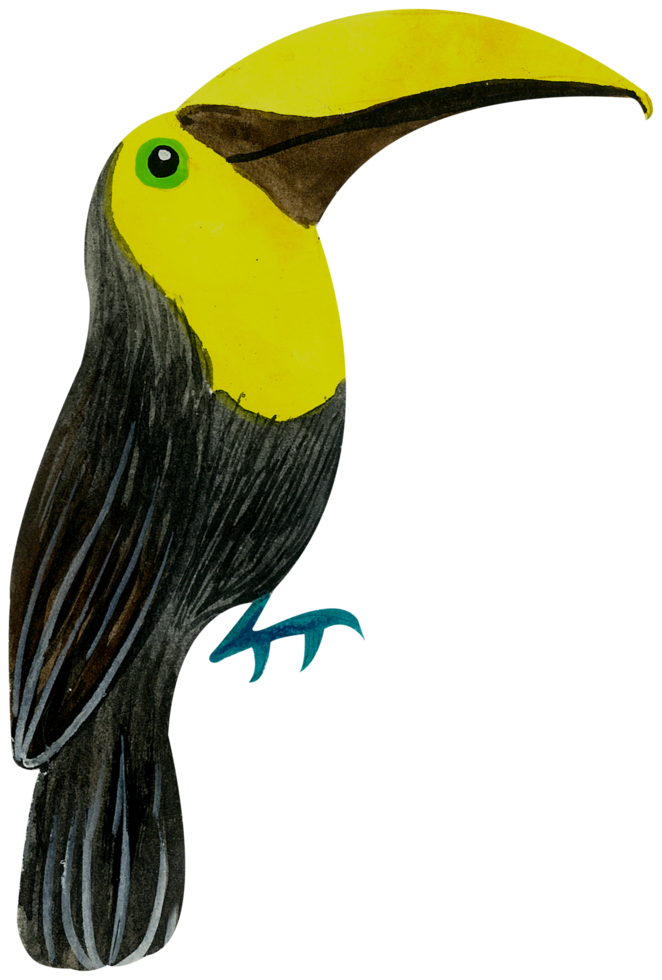 pintura de mano de acuarela de pajarito png