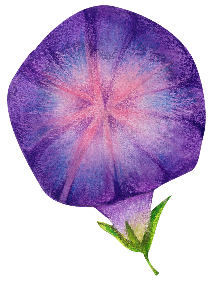 waterverf bloemen botanisch hand- verf png