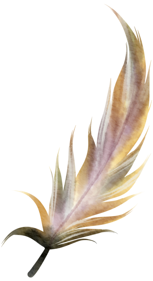 Feather watercolor hand paint png