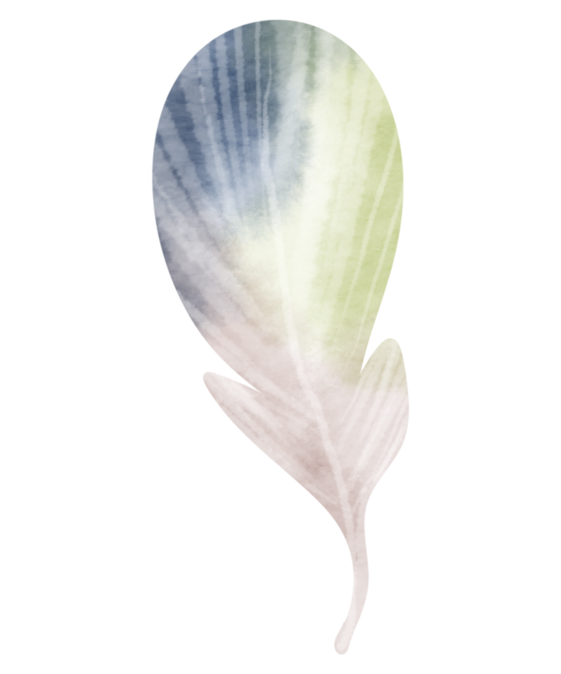 Feather watercolor hand paint png