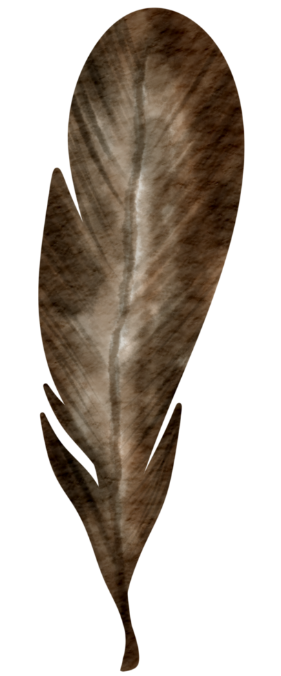 Feather watercolor hand paint png