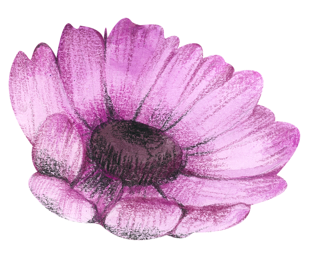 Watercolor Floral Botanical hand paint png