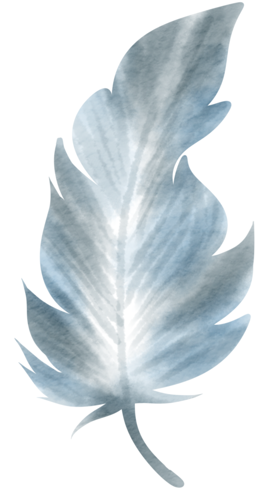 Feather watercolor hand paint png