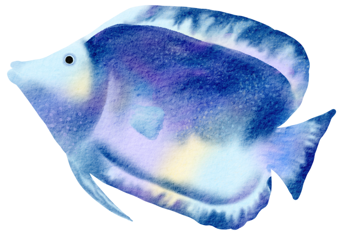 sob a aquarela de animais marinhos png