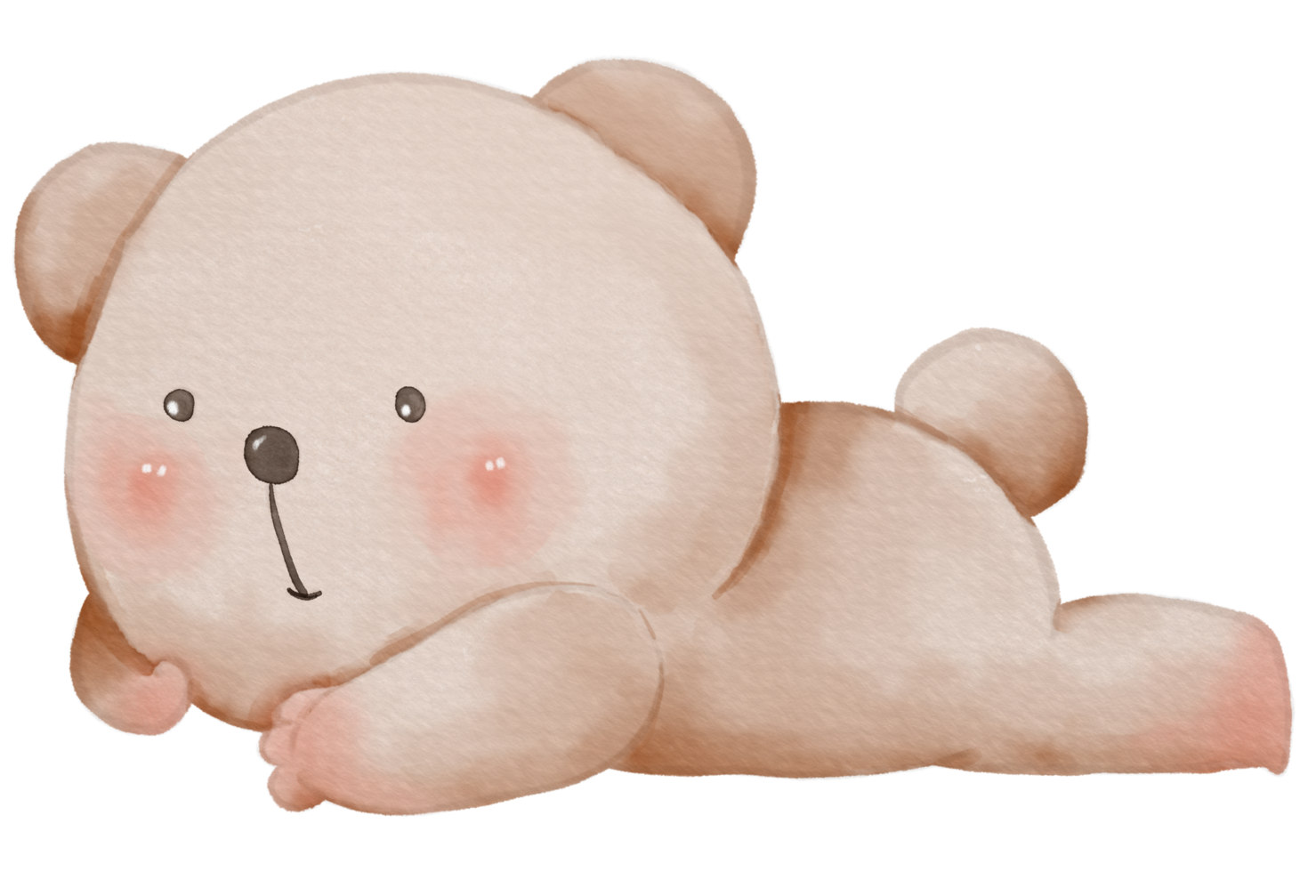 carino orso animale personaggio acquerello png