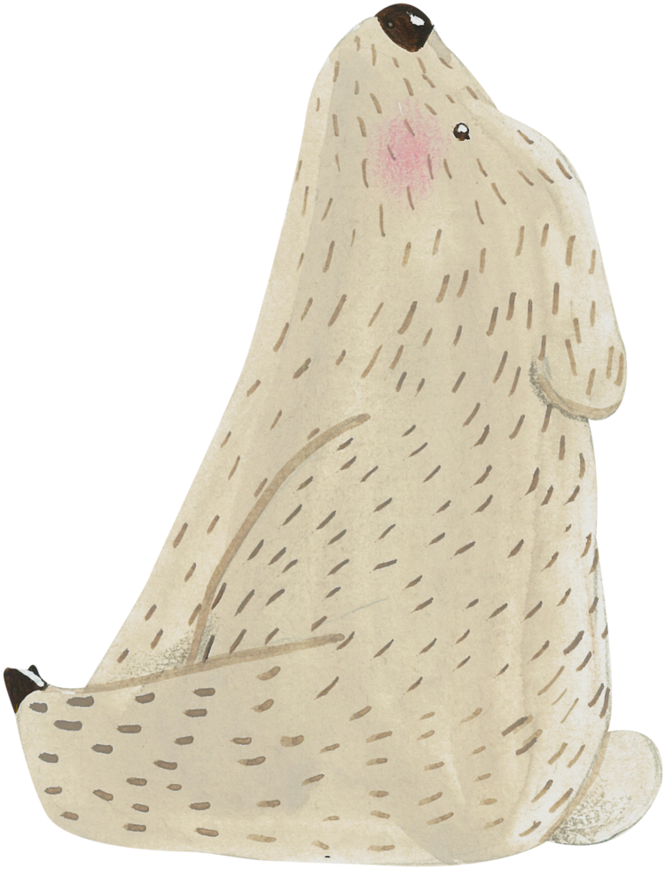 carino orso animale personaggio acquerello png