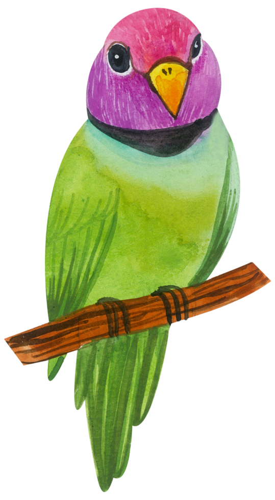 peinture à la main aquarelle petit oiseau png