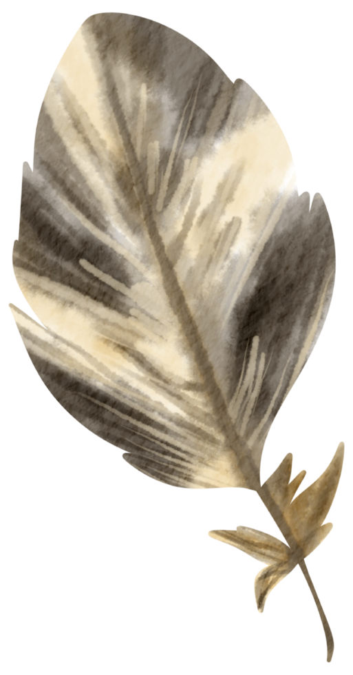 plume aquarelle peinture à la main png