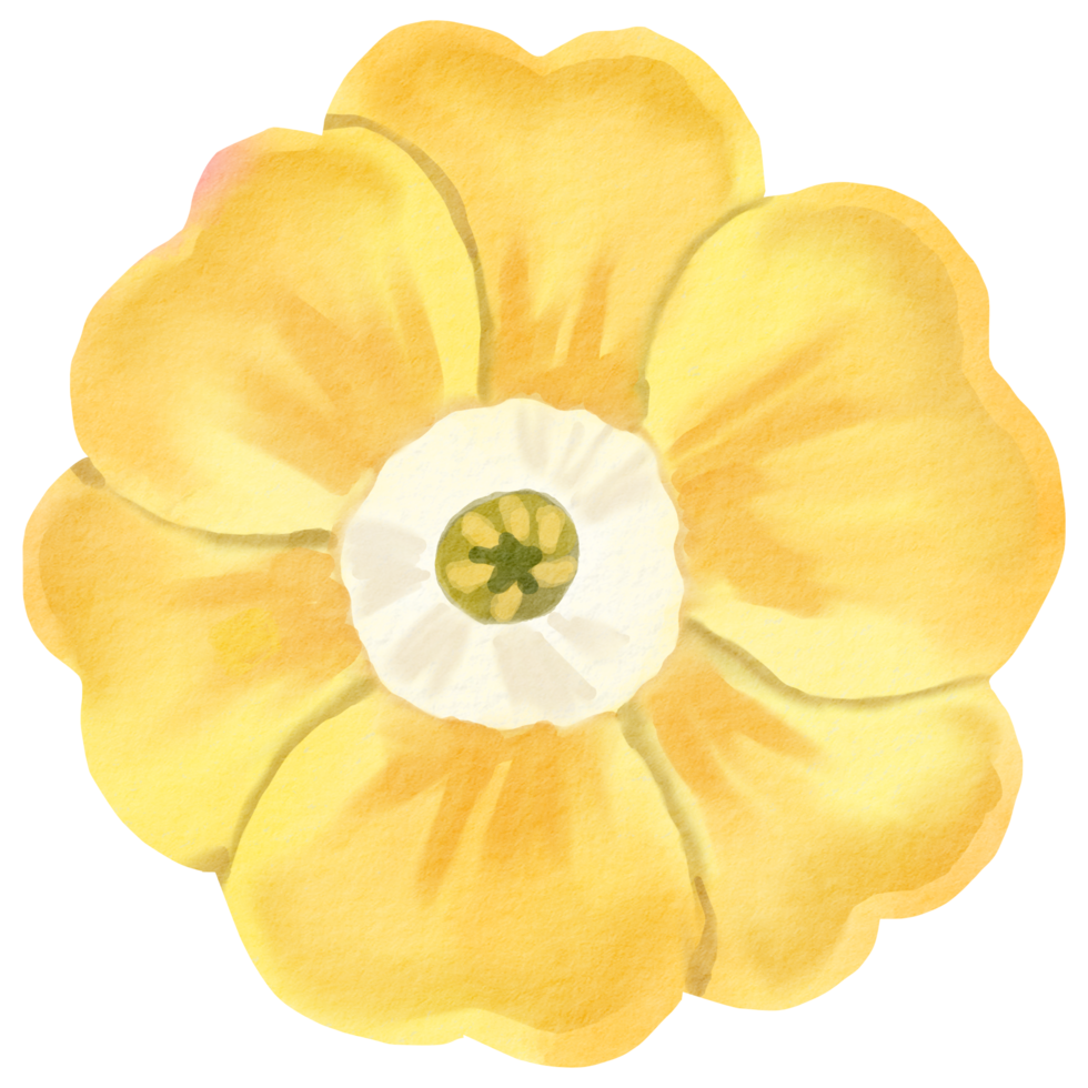 waterverf bloemen botanisch hand- verf png